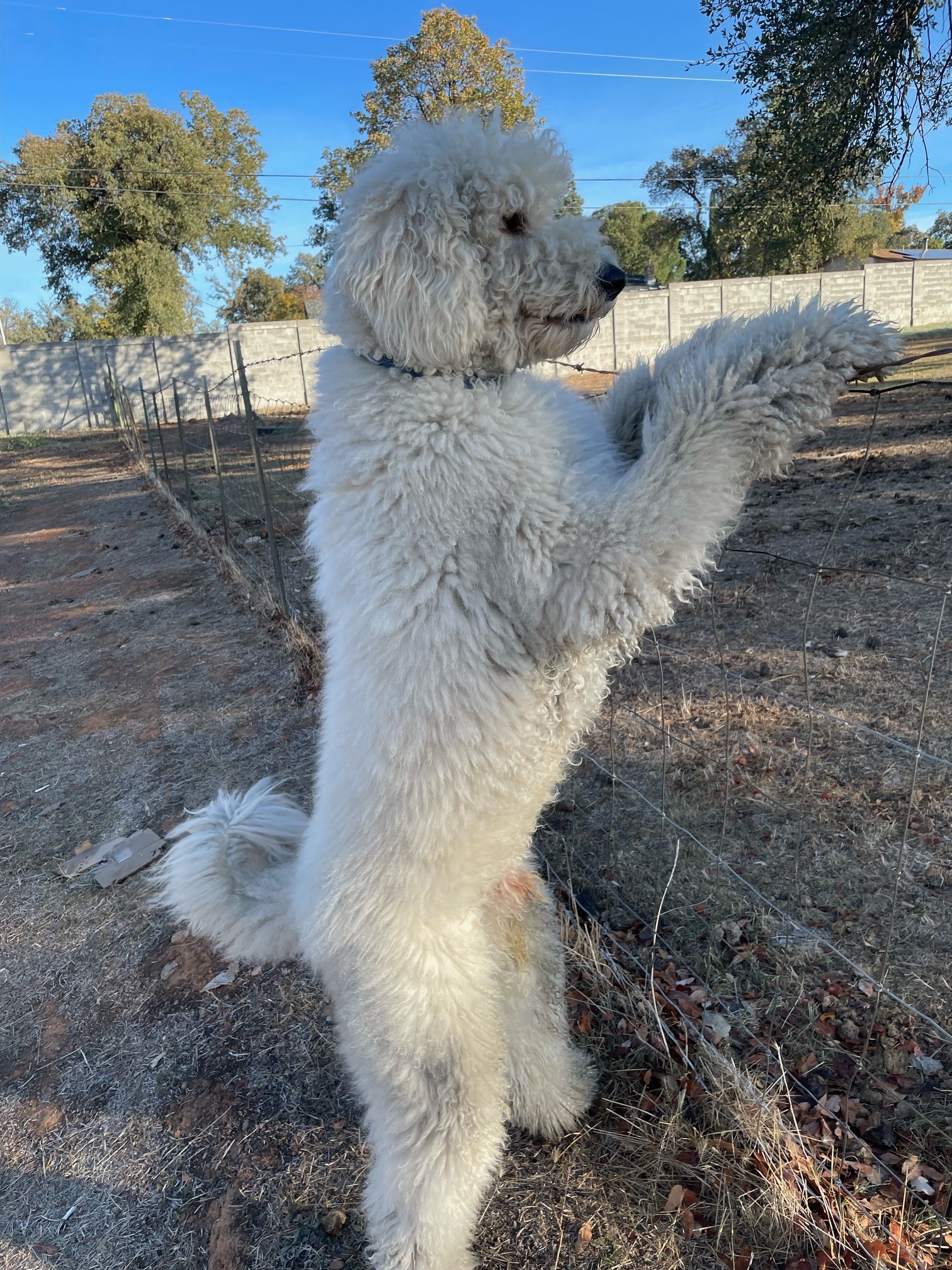 Our new appointment... - Bidrl, Redding Online Auction | Facebook