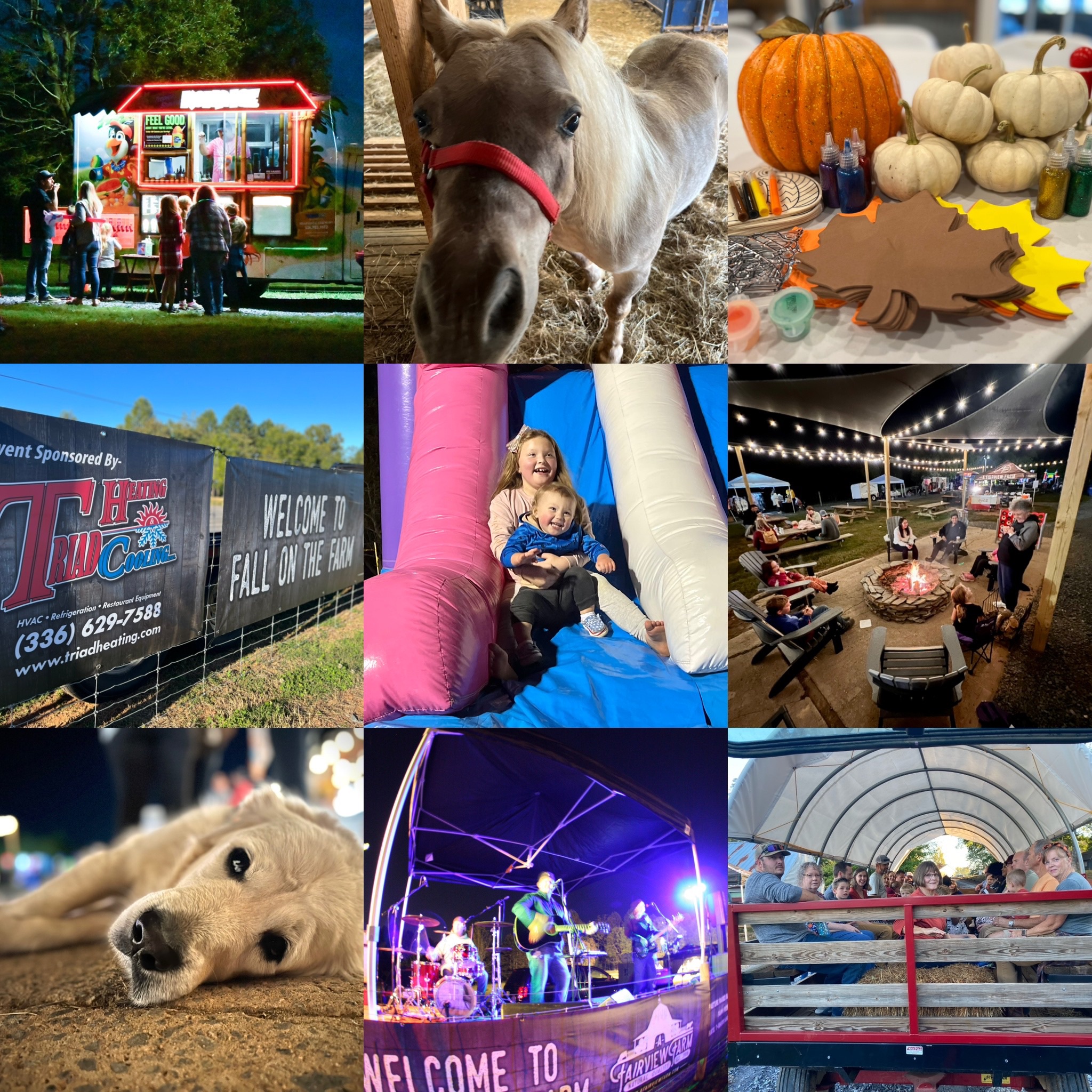 9th Annual Fall on the Farm