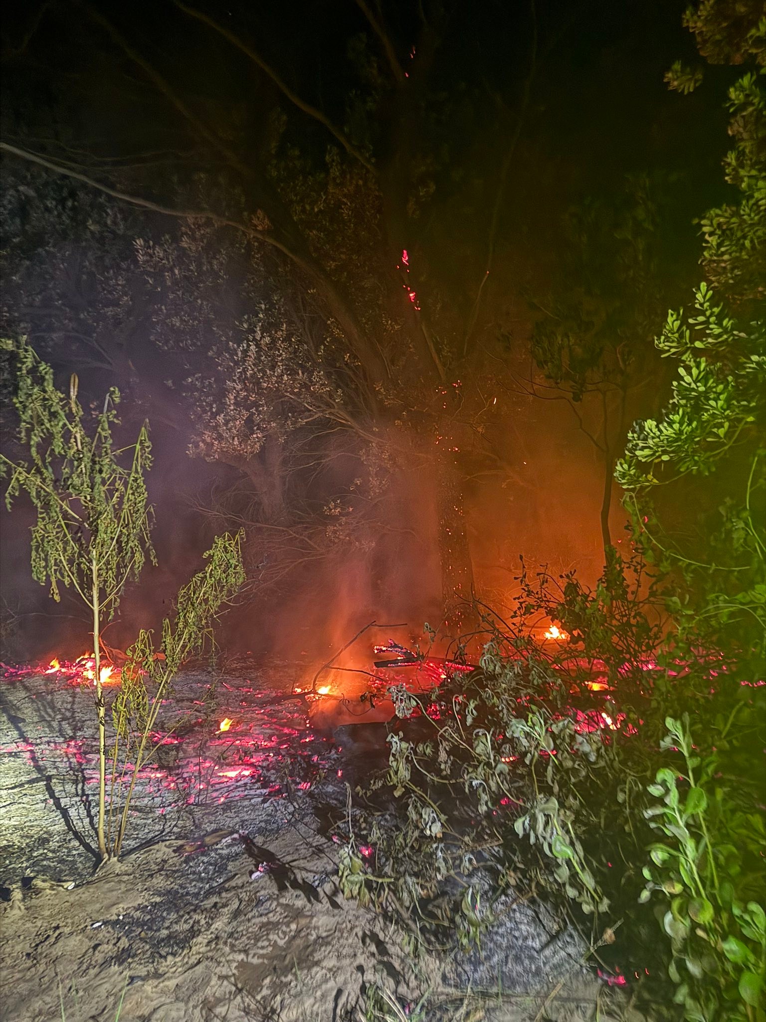Just after midnight, 447 Swansea was called to a grass fire near ...
