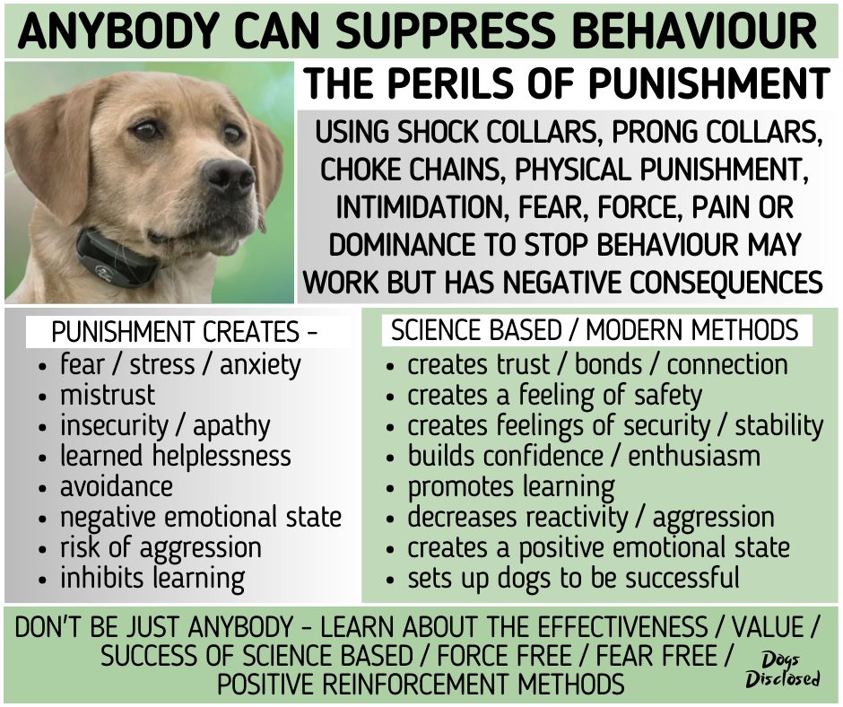 DPF Dog Training