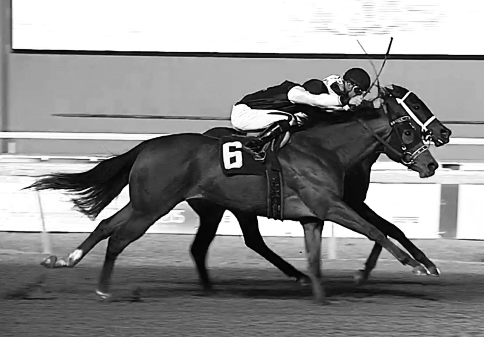 Corderman Racing Stable