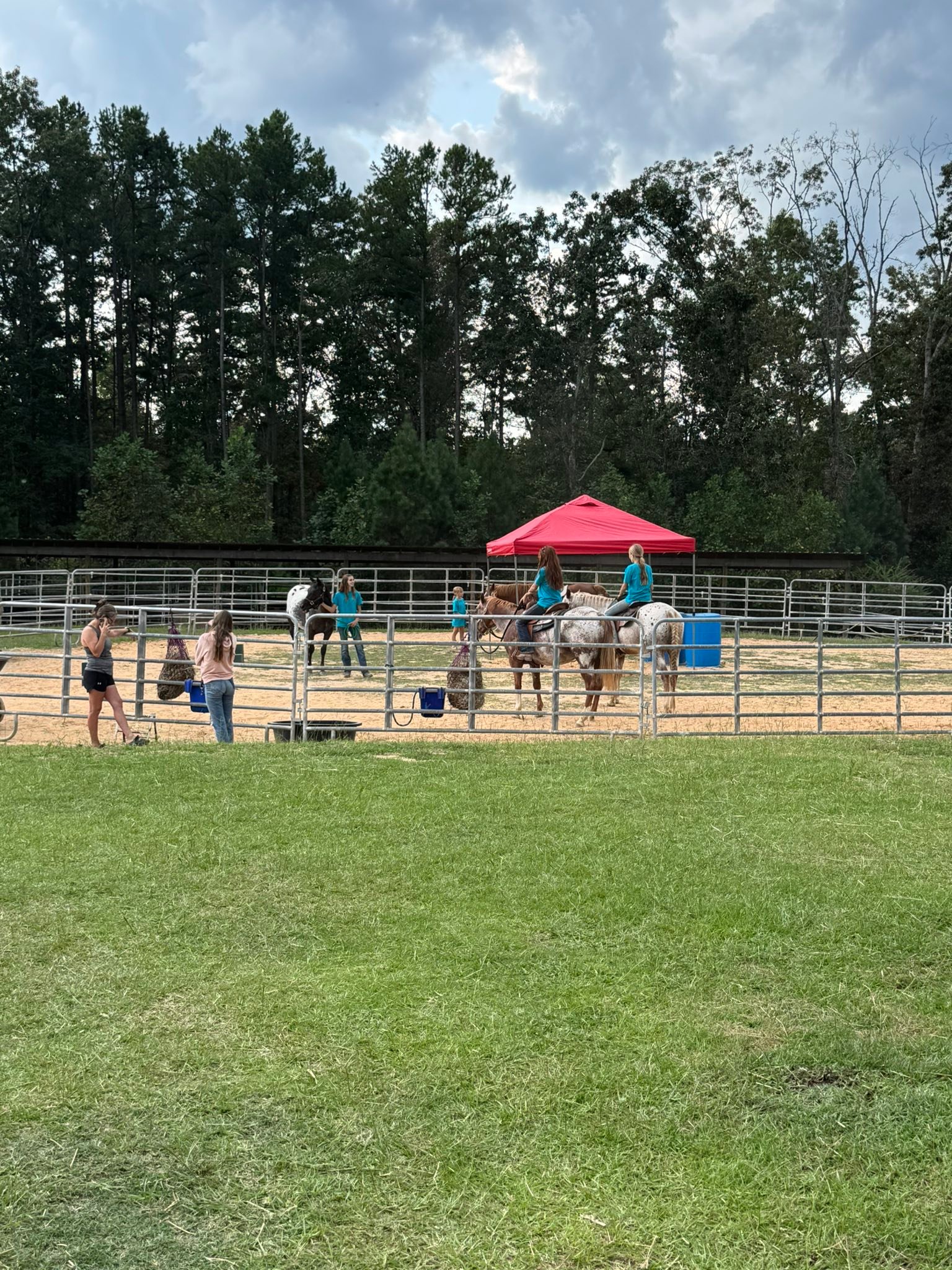 Winning Spirit Ranch Tamassee, SC | Tamassee SC