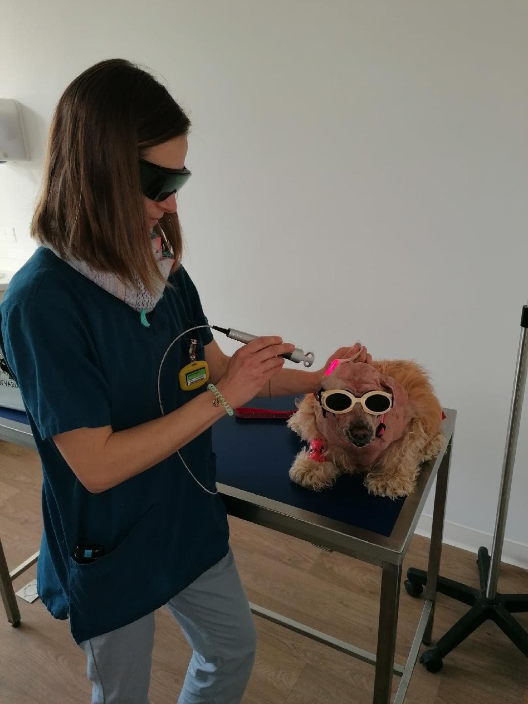 Clinique Vétérinaire Du Coq à L Ane