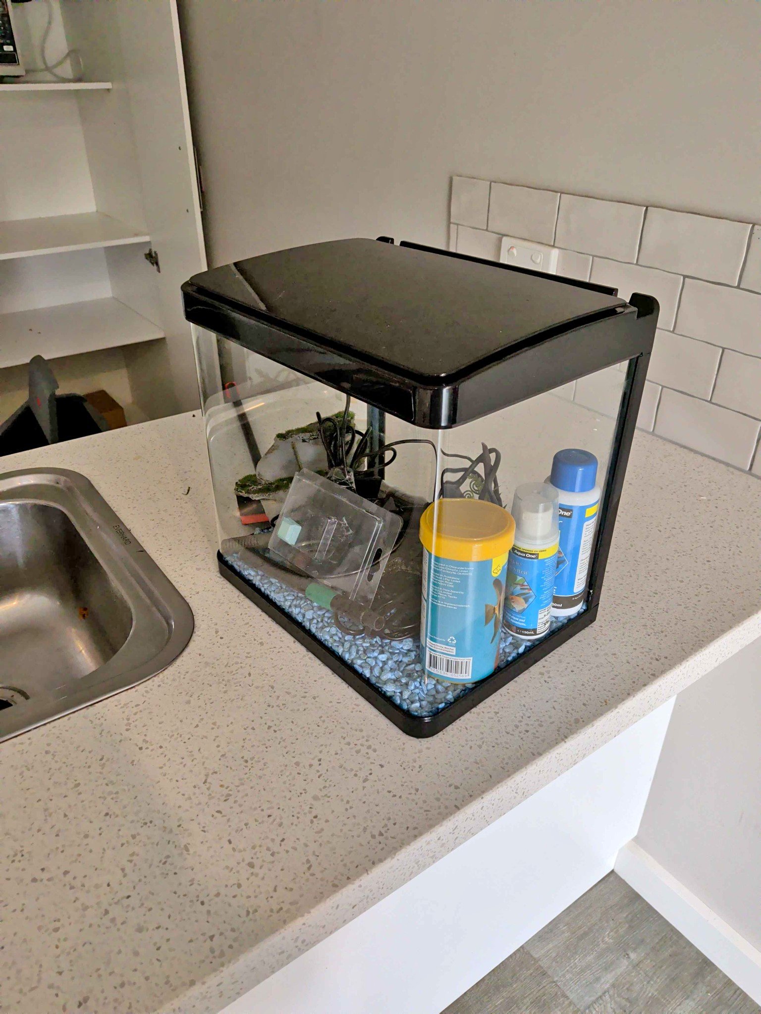 fish tank accessories melbourne GreenJoy Aquarium Decorations Fish-Tank Plants Your fish's dream setup starts