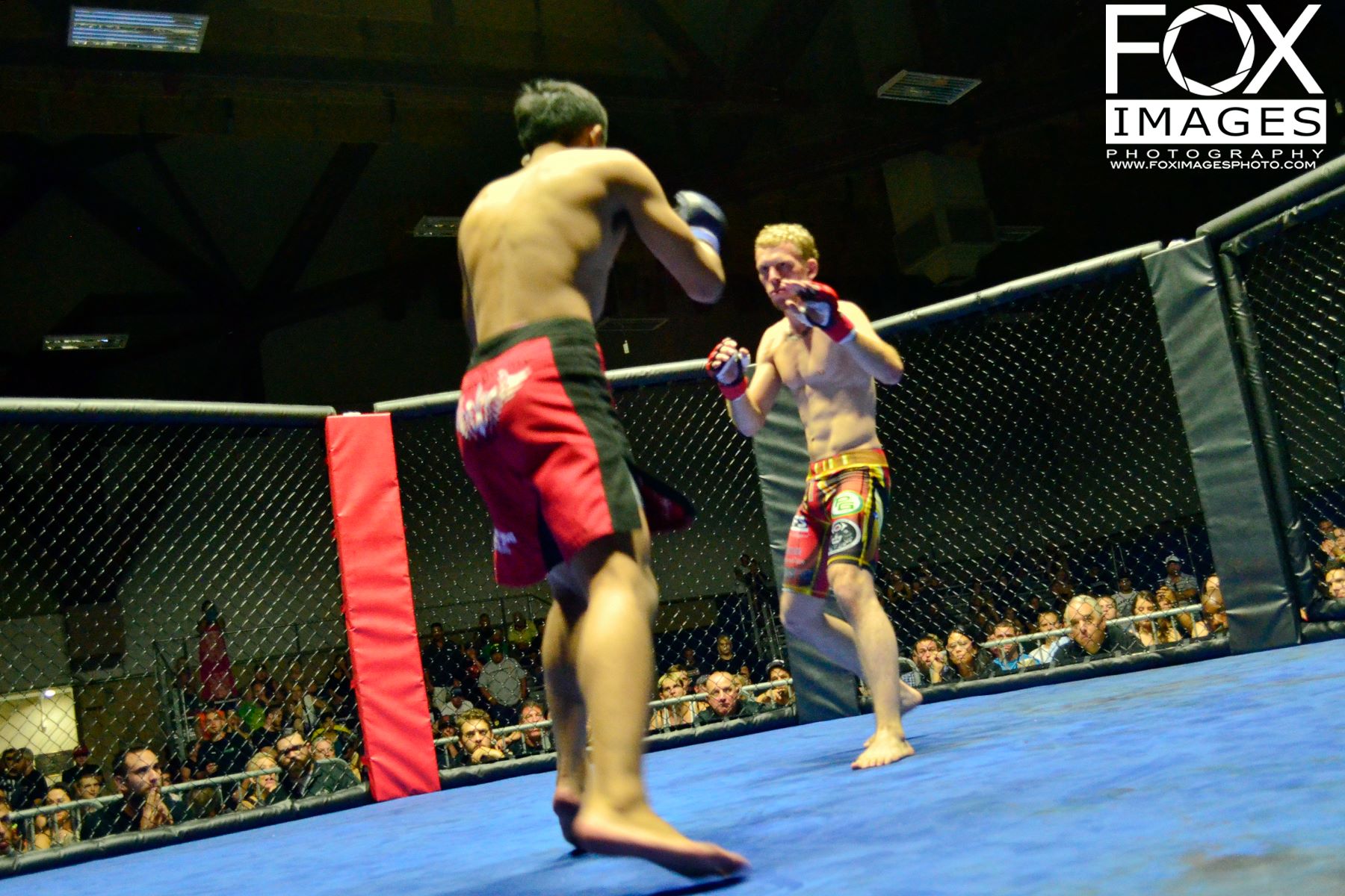 Battle in the Burg MMA Cage Fights
