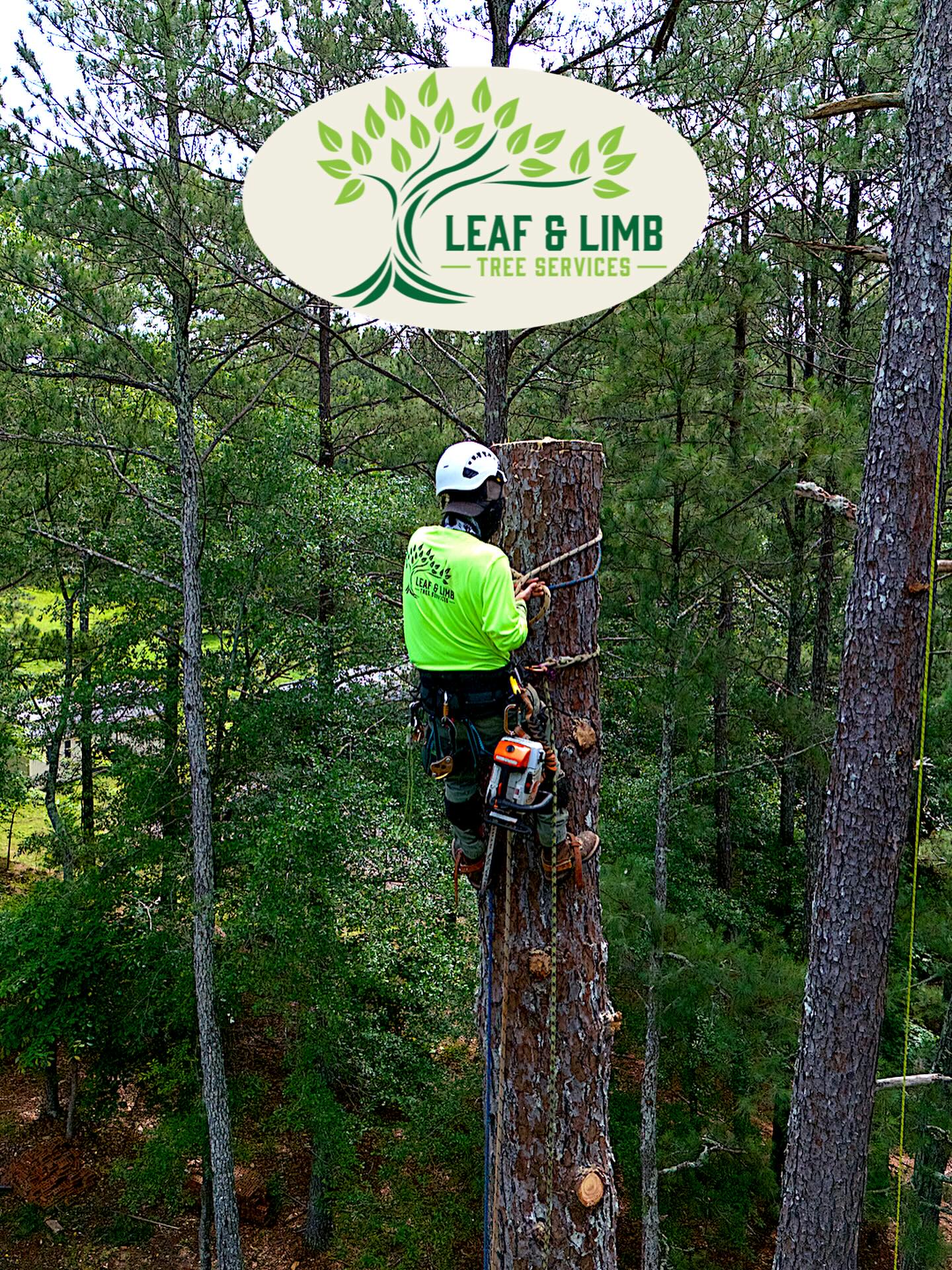 Leaf & Limb Tree Services | Dawsonville GA