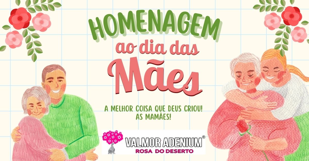 Rosa do Deserto - Valmor Adenium