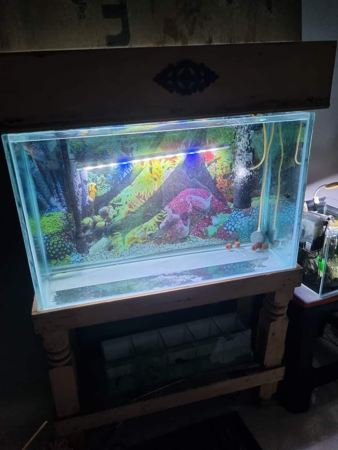 fish tank accessories for sale in mumbai Maxbell Aquarium Decoration Fish Garden Pond Aquarium Ornament 11.5x6.5x8.5cm Planning to sell my 2.5