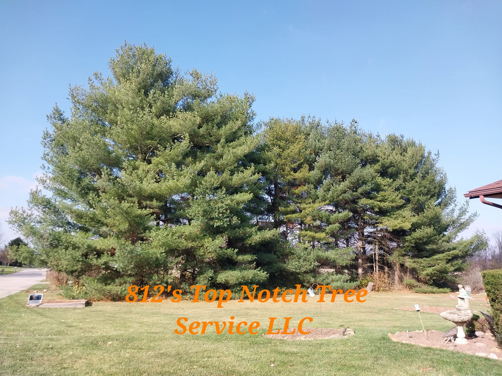 I'm really proud of the... - 812's TOP Notch Tree Service LLC | Facebook