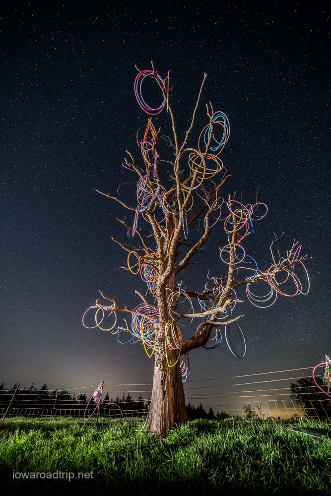 Iowa - The former Hula Hoop tree of Amber, Iowa, which no longer exists ...