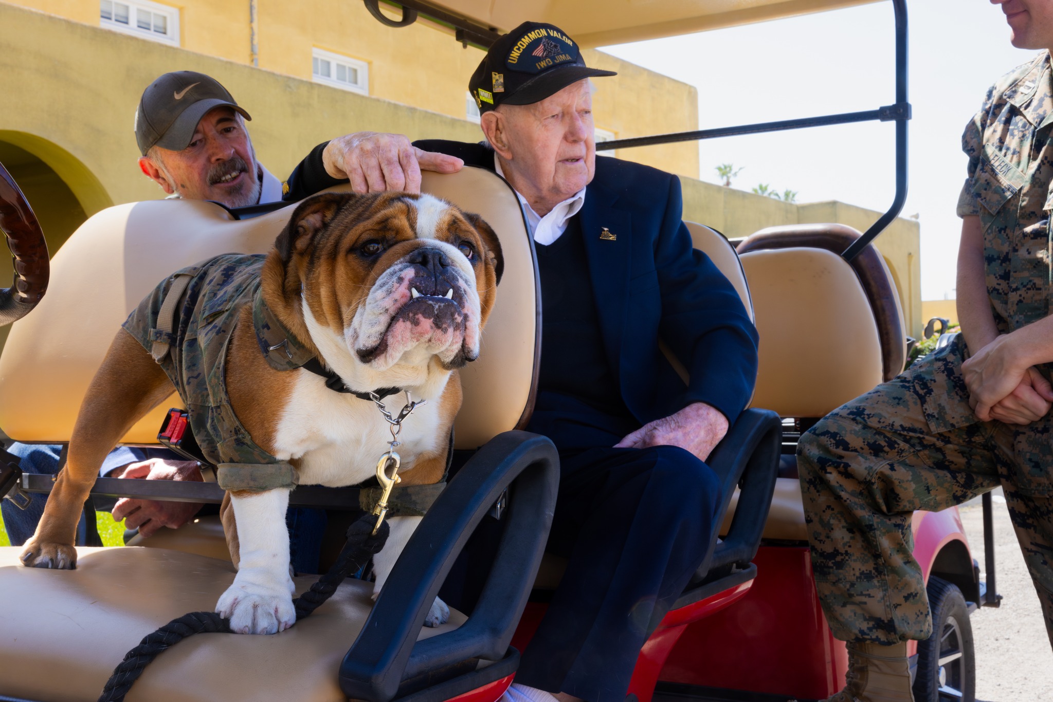 Marine - U.S. Marine Corps Pfc. Bruno, the Marine Corps Recruit Depot ...