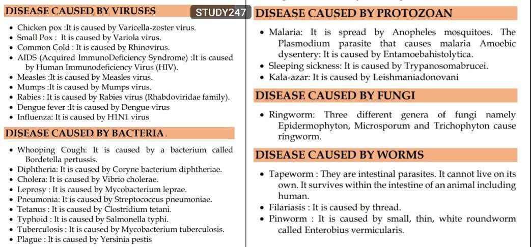 Study247 - 🎯 List of Diseases caused by Virus, Bacteria, Protozoa ...