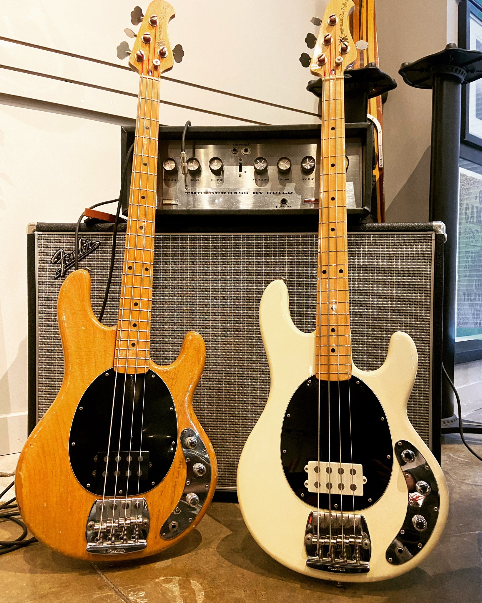 A 1978 Pre-Ernie Ball Music Man Stingray in Walnut. @zombiibass