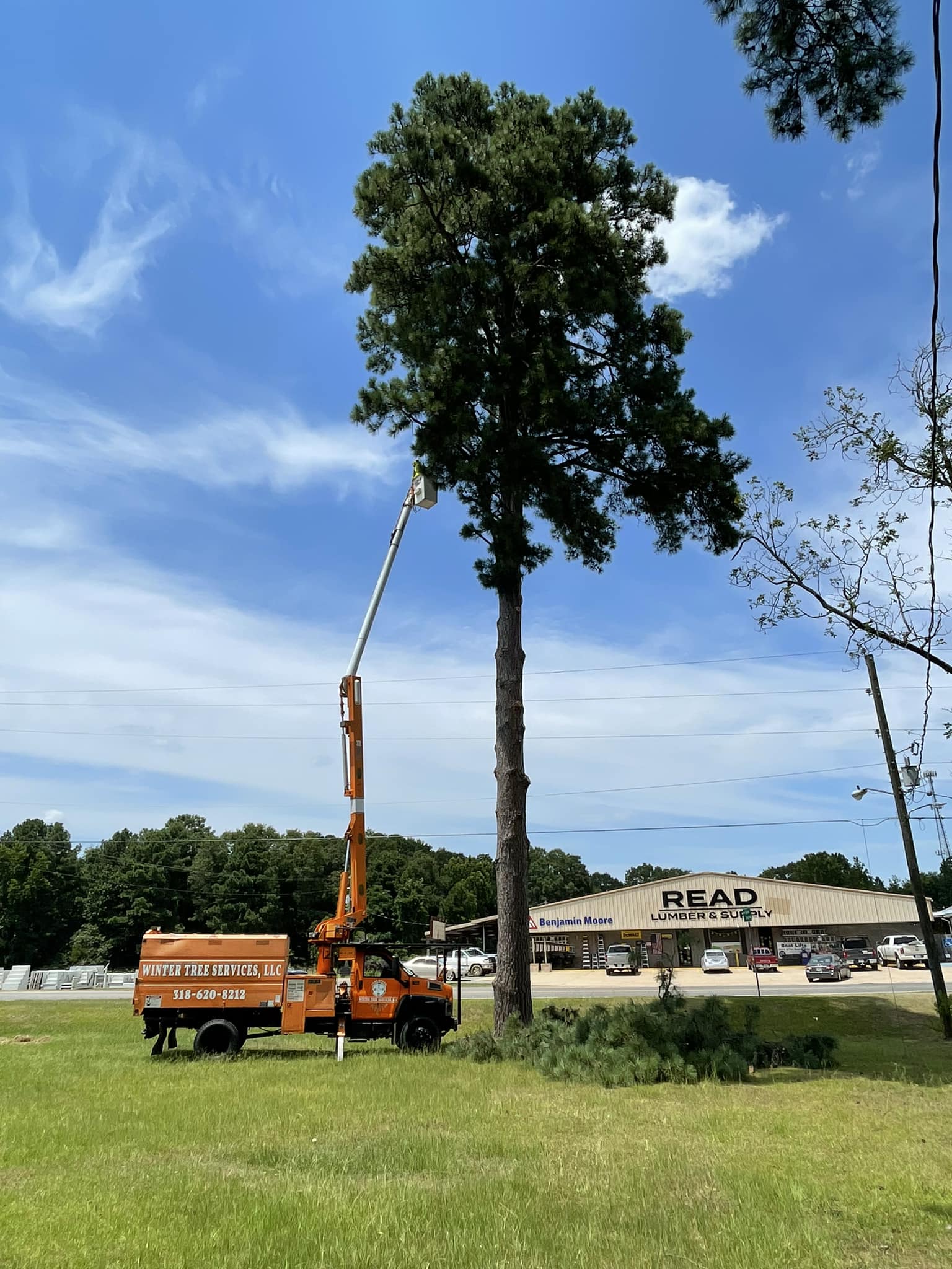 Winter Tree Services | Bernice LA