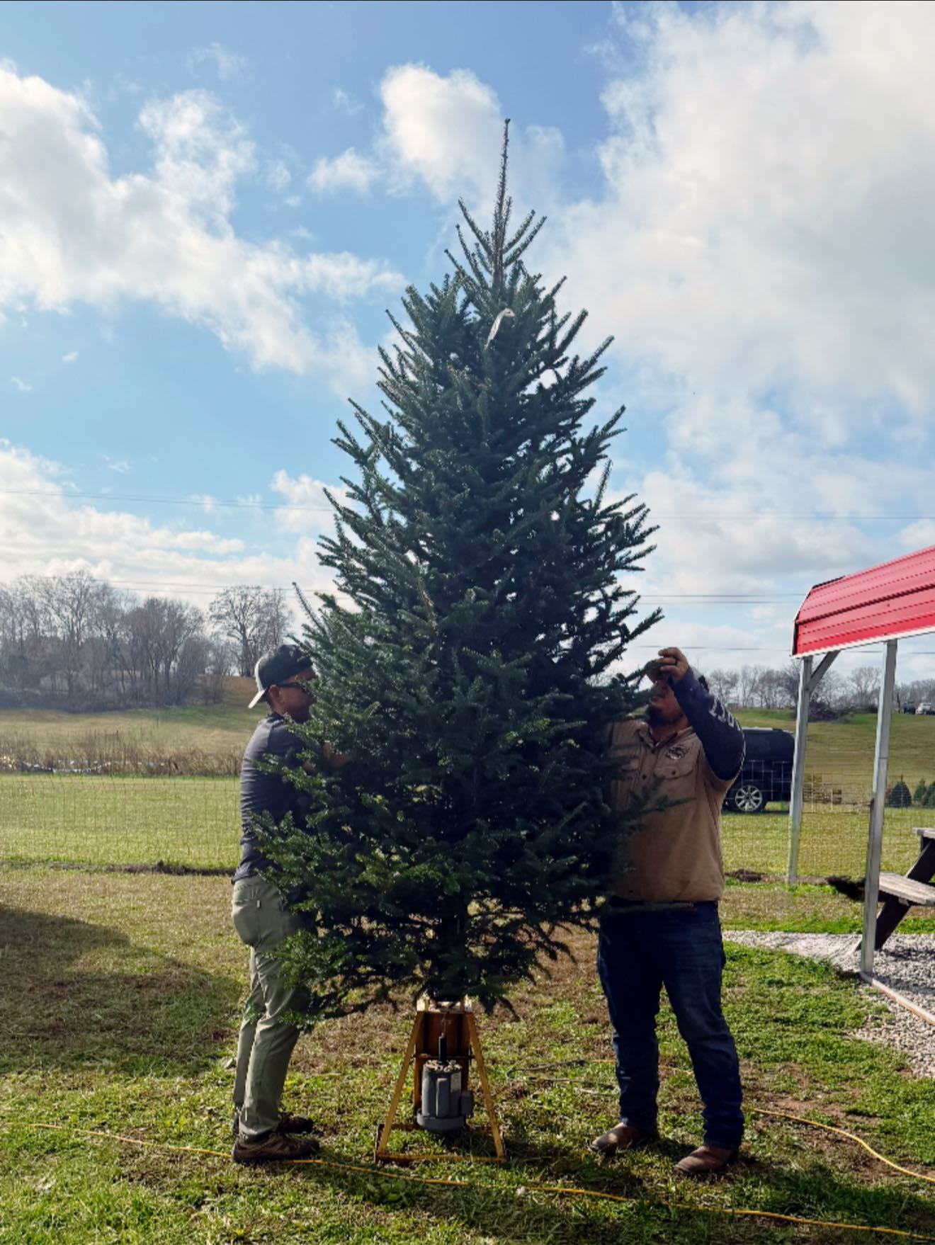 ⭐️Opening... - McCulley’s Amazin’ Acres Christmas Tree Farm | Facebook