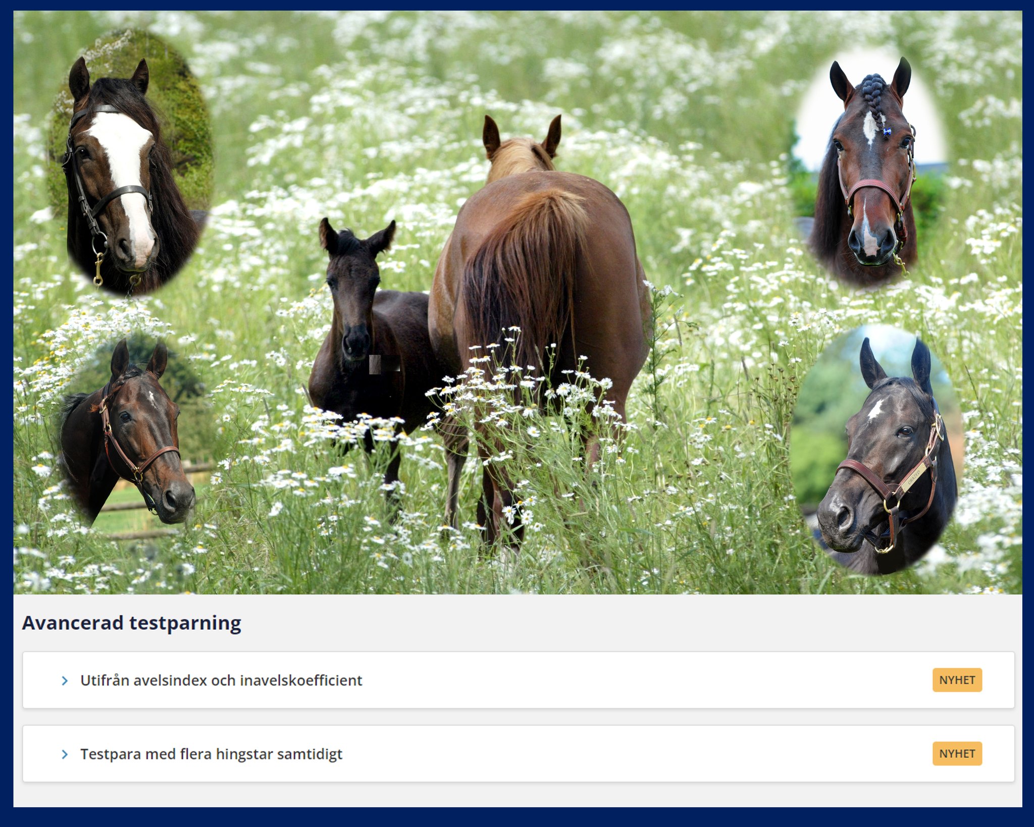 Breedly.com - Testparningen på Breedly har nu utökats med...