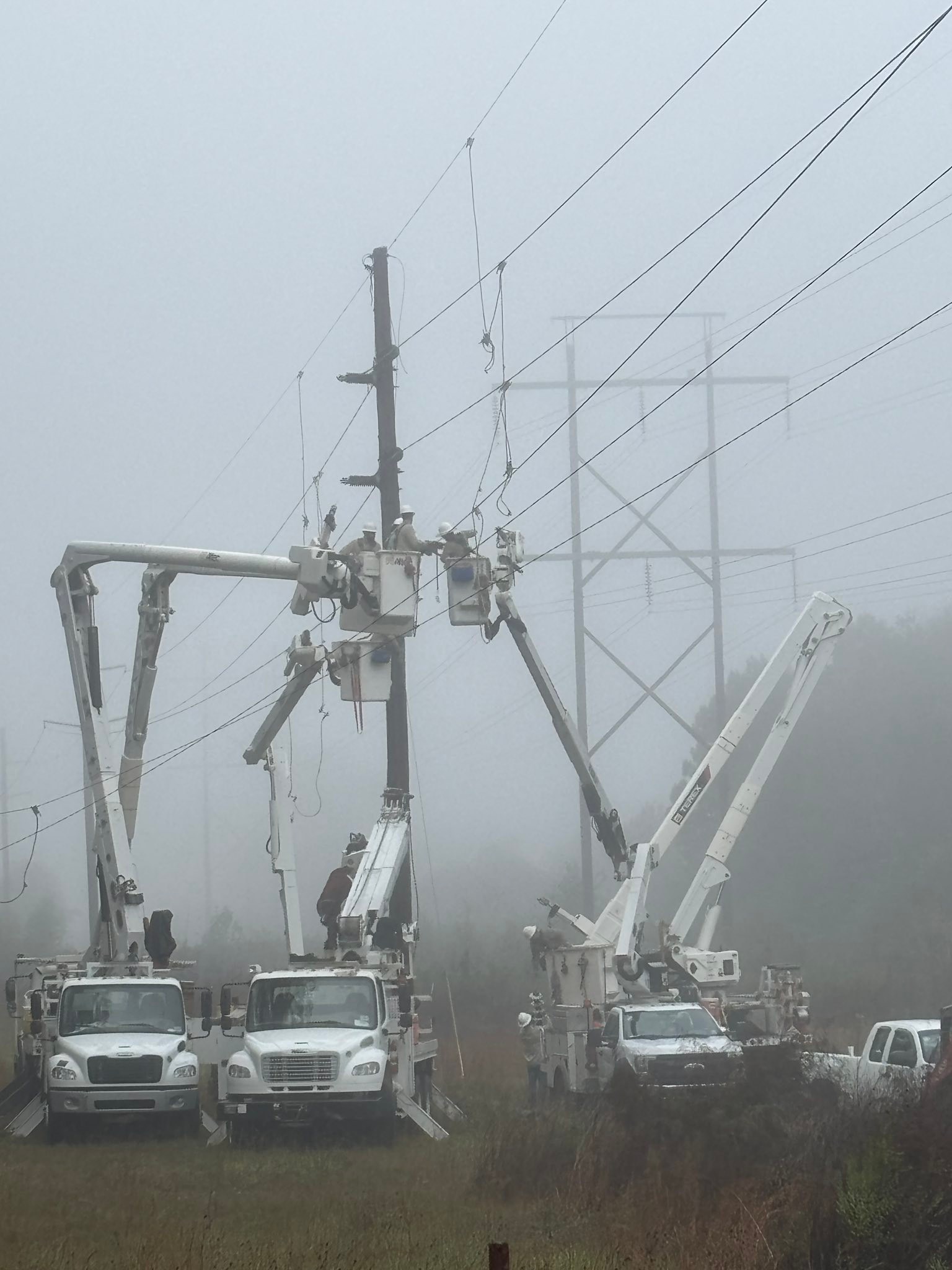 Beauregard... - Beauregard Electric Cooperative, Inc. (BECi)