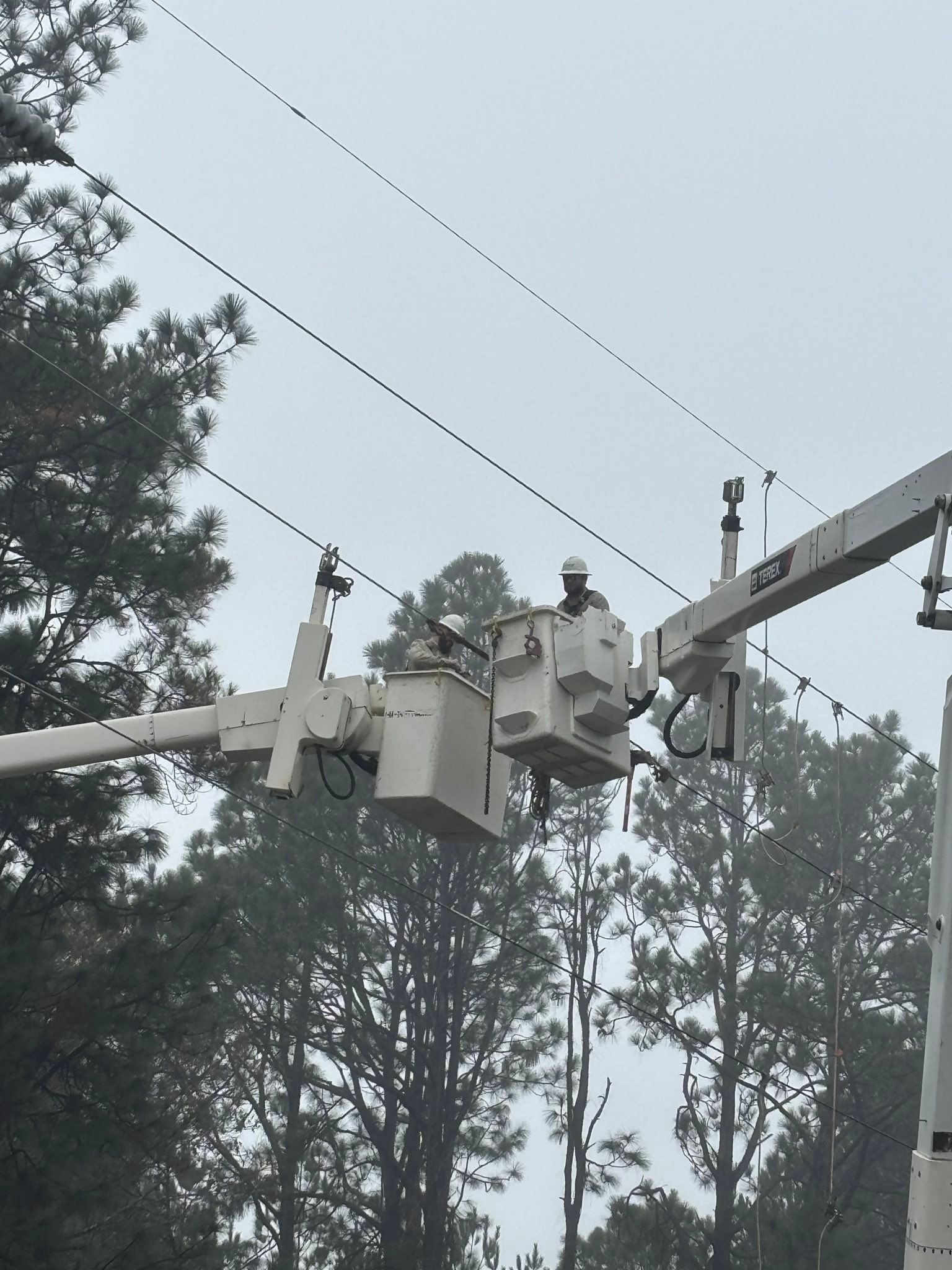 Beauregard... - Beauregard Electric Cooperative, Inc. (BECi)
