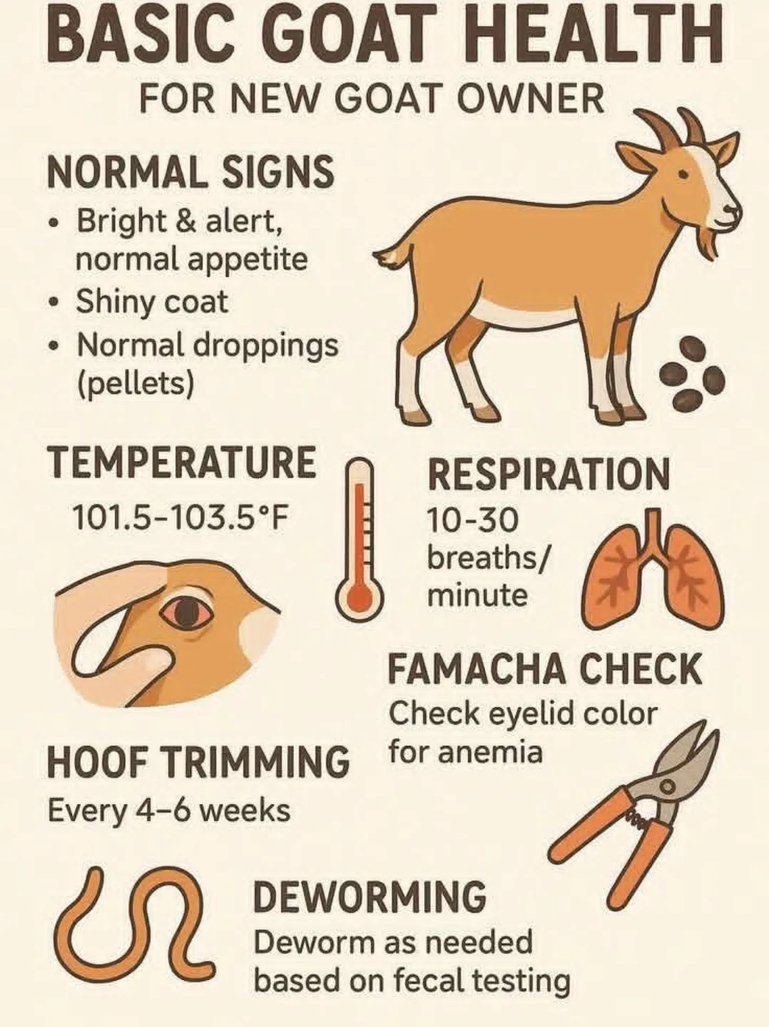 Veterinary - Basic goat health #veterinarymedicine #goats # ...