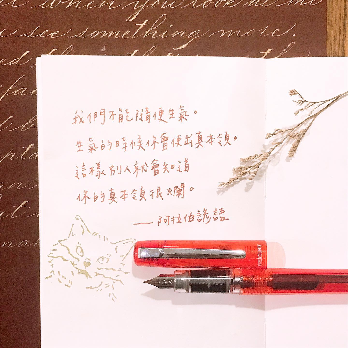 嗨賴文具工作室 - 👉🏻嗨賴晚安點播👈🏻 不要生氣不要生氣～ 重要的是不要隨便使出真本領啊！ . 筆：白金 青年鋼筆 0.3F 墨 ...