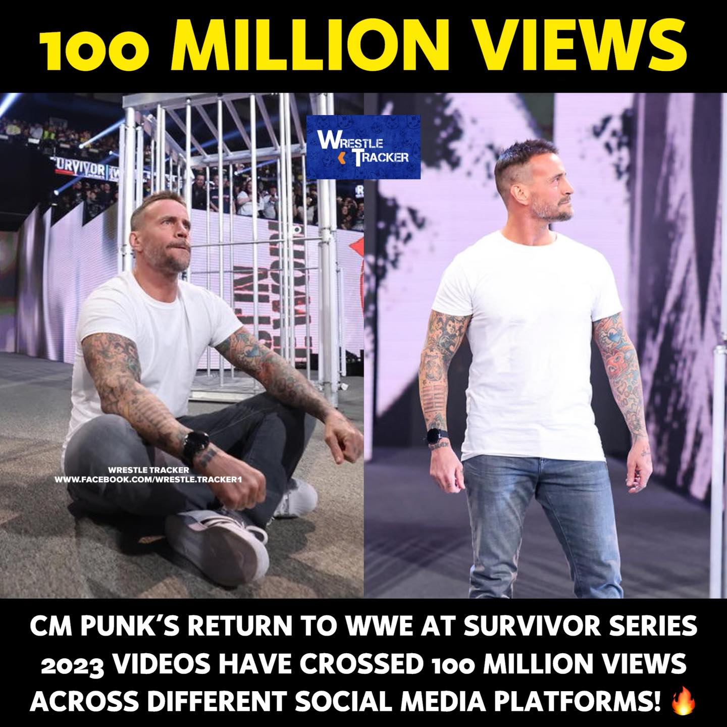 Wrestle - CM Punk is a DRAW! 🔥 #CMPunk #WWE | Facebook