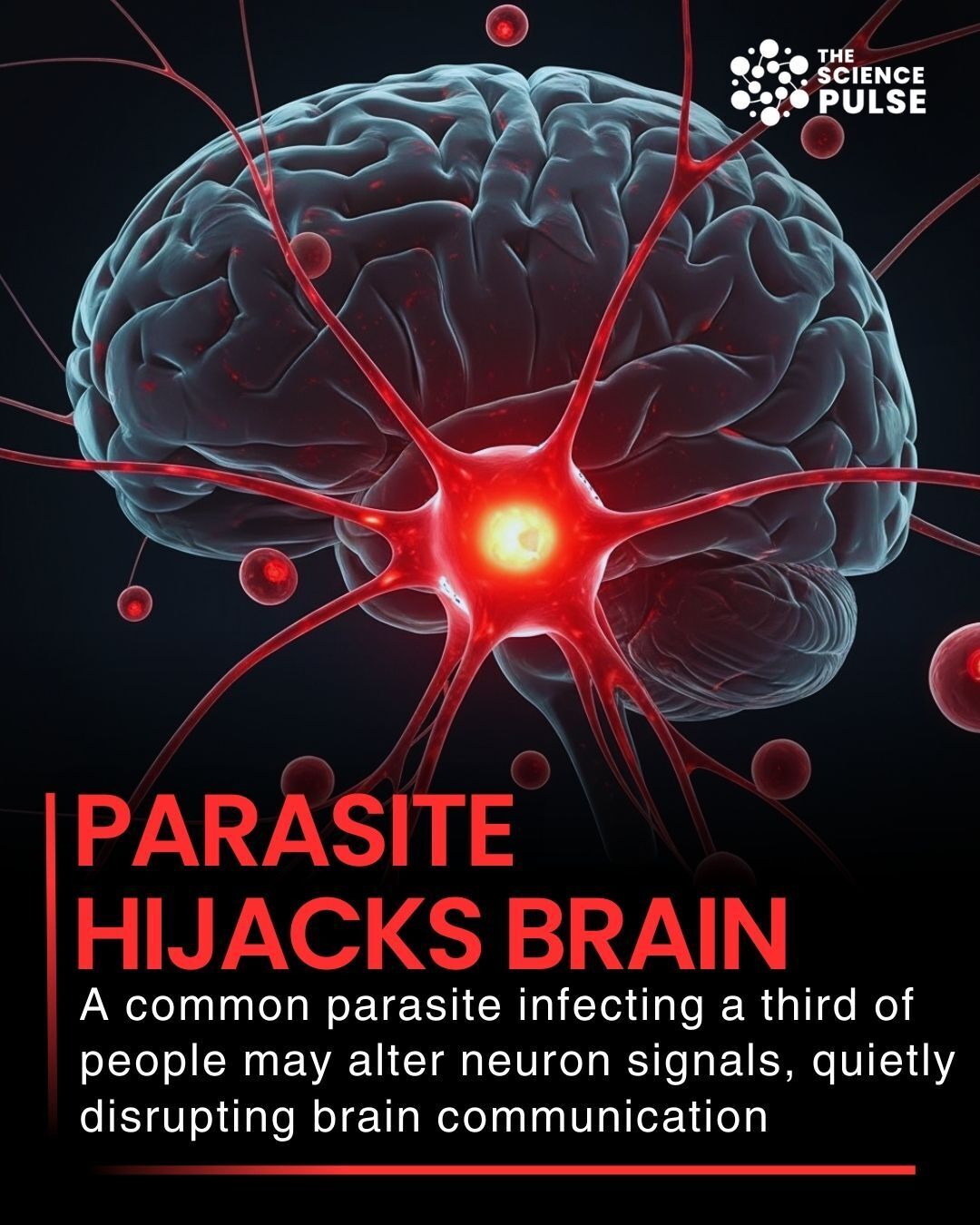 The Science - A surprising new study reveals that a common parasite ...