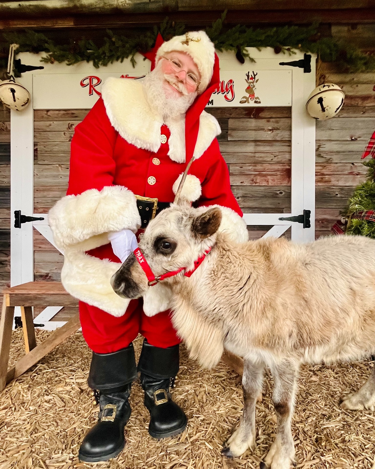 Rooftop Landing Reindeer... - Rooftop Landing Reindeer Farm
