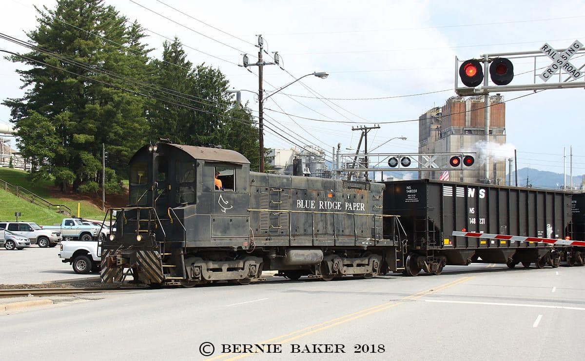 Switchers and Critters | SW1001 6056 switches the Blue Ridge Paper ...
