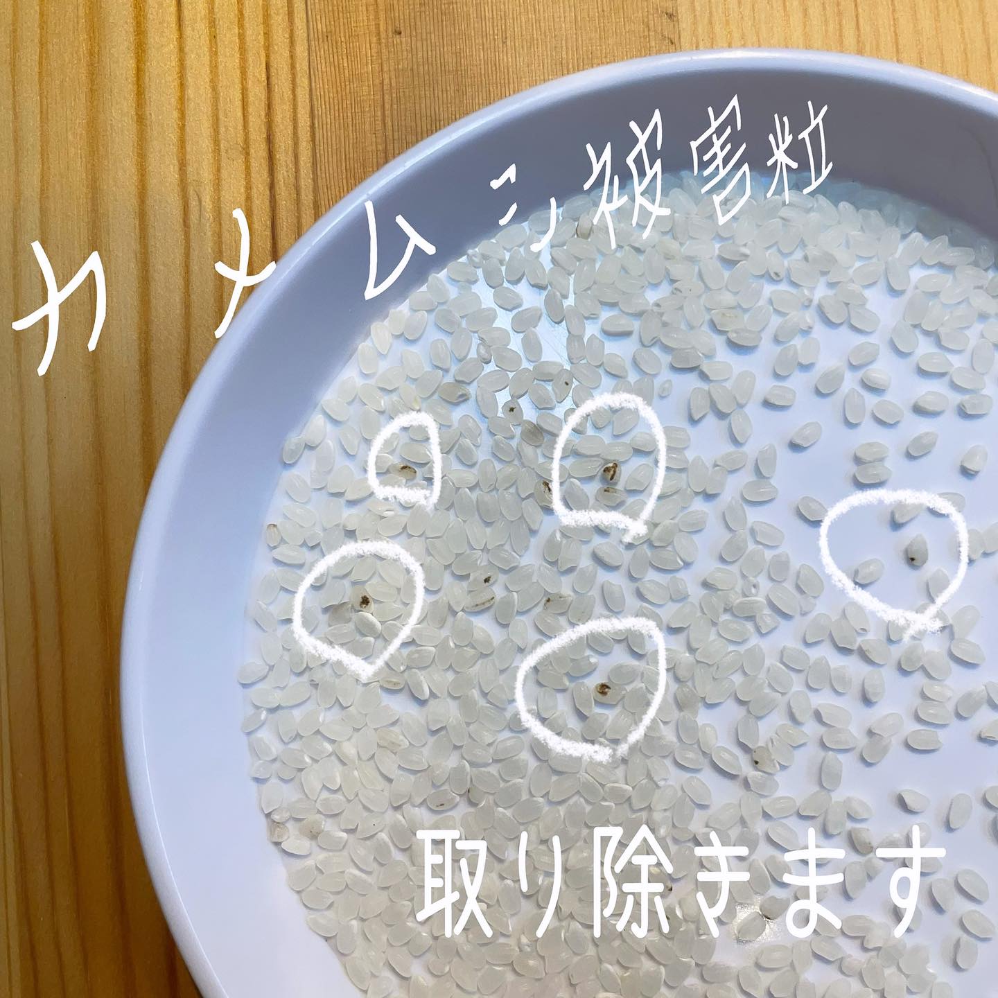 米 黒い 粒