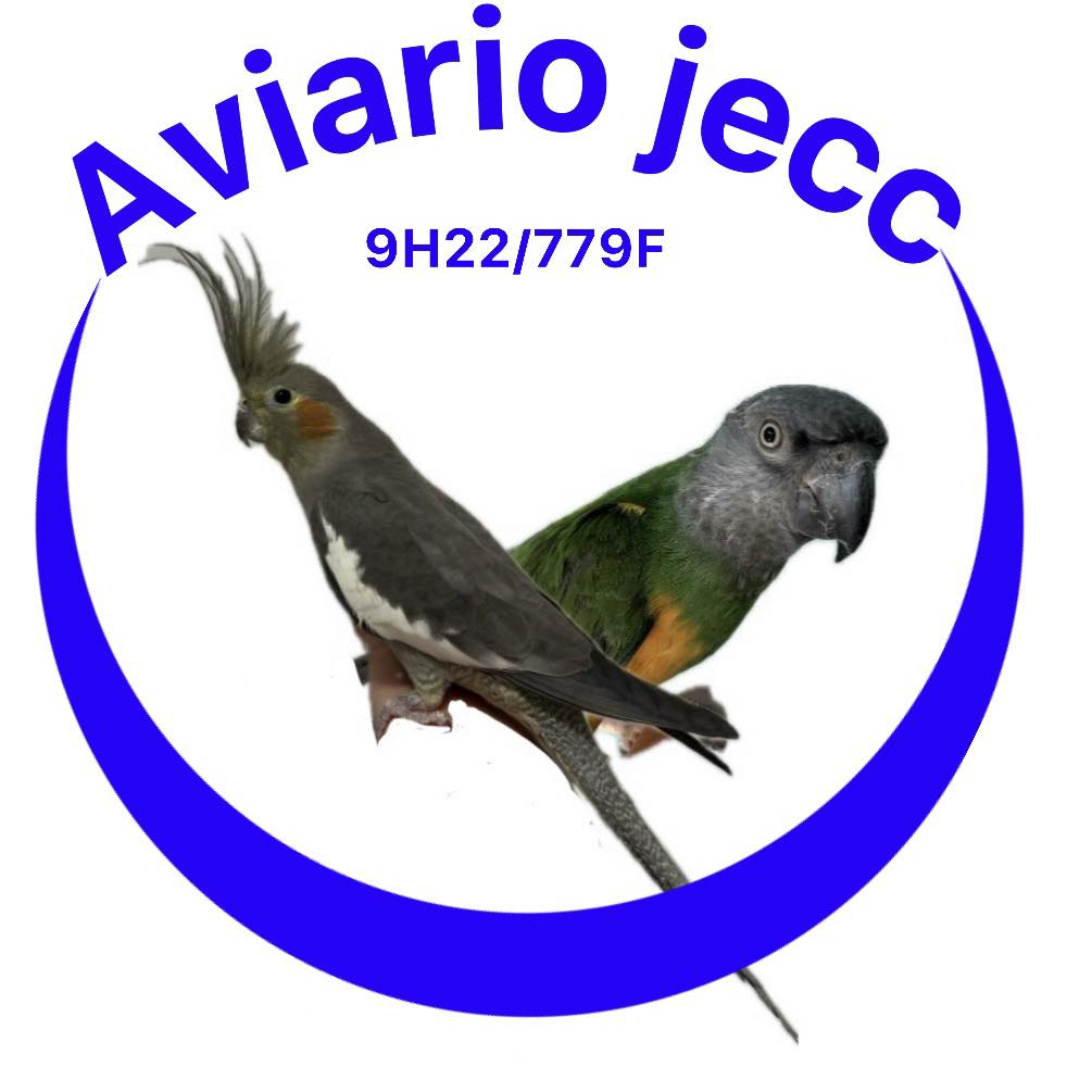 Lo de “mucho” es relativo, por lo que hay que fijarse en los detalles y ...