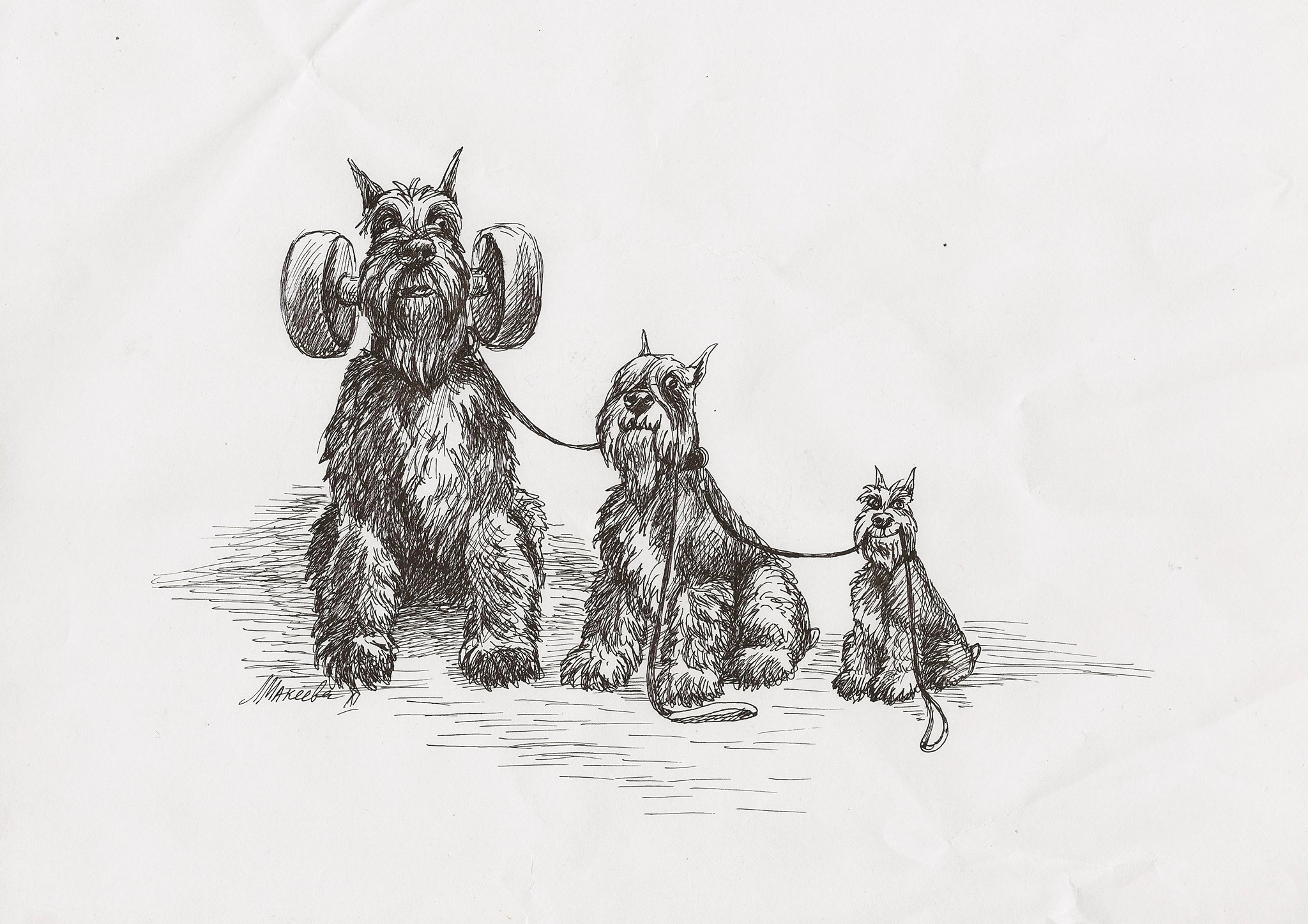 Schnauzer Help | Москва | Facebook