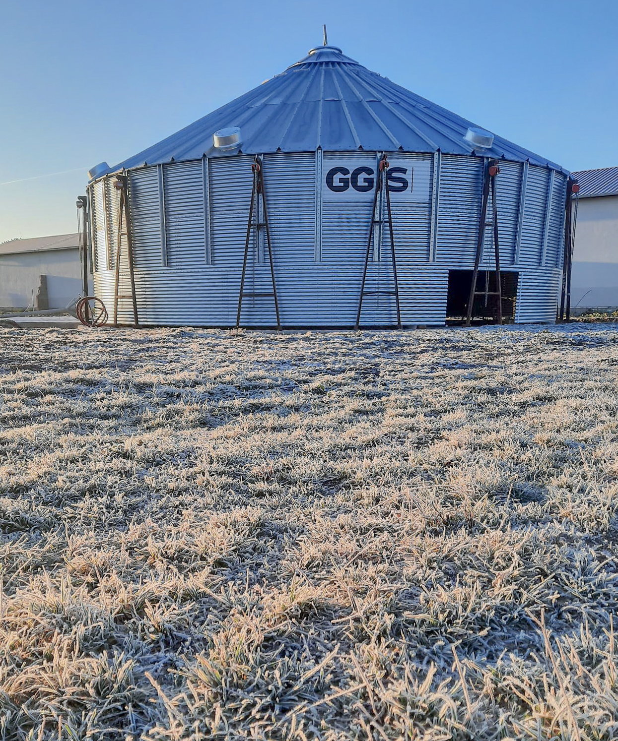 Global Grain Solution
