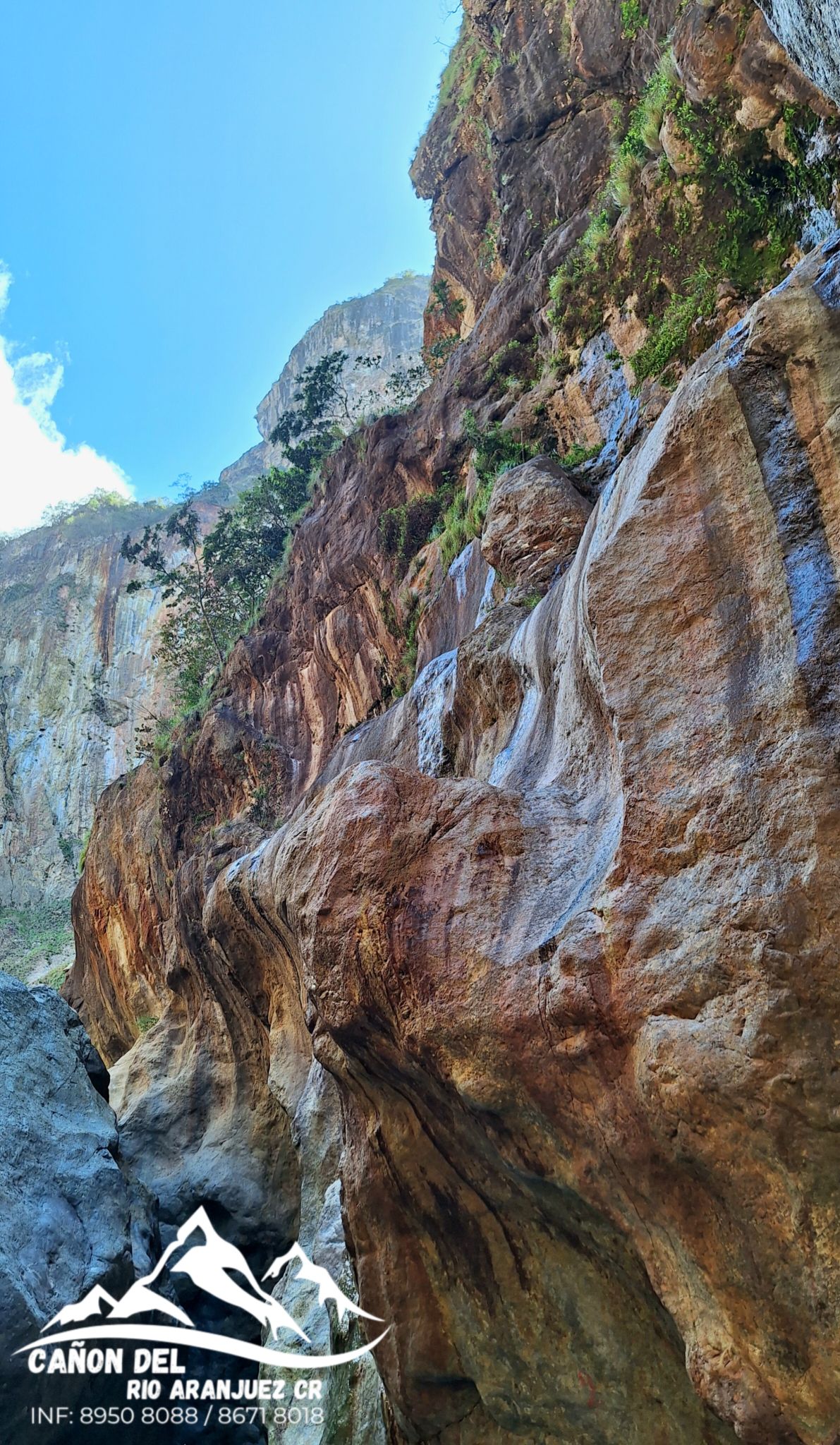 Cañón Del Río Aranjuez Cr