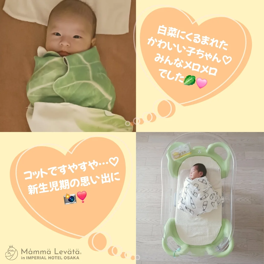 Mammalevata - Mammalevata added a new photo