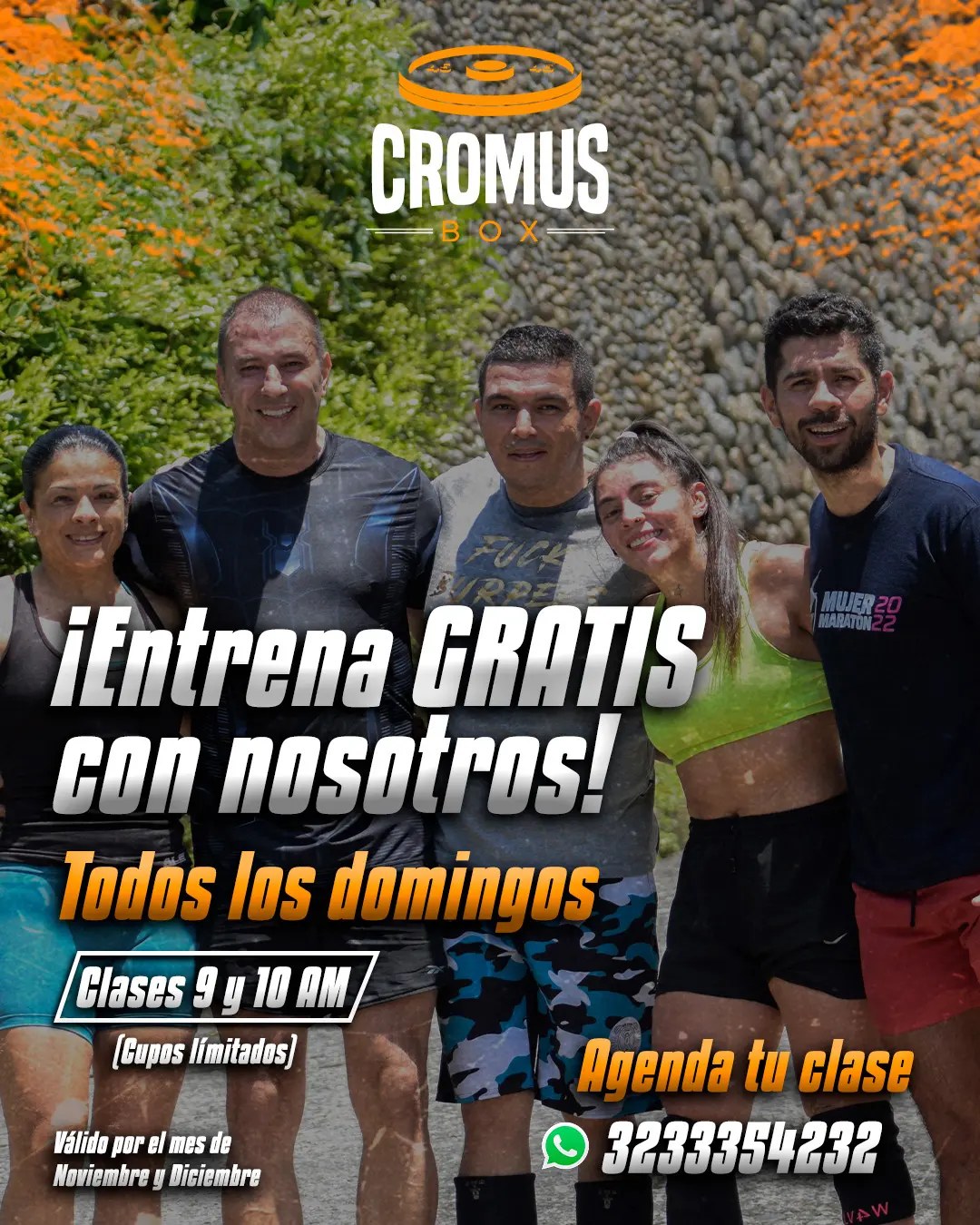 CROMUS BOX PEREIRA