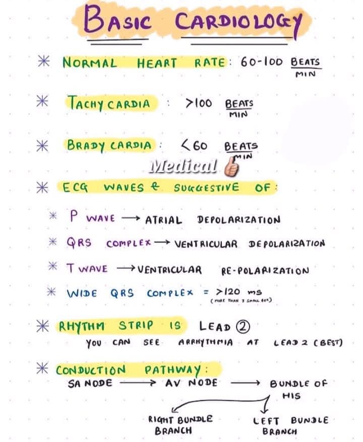 Medical - Medical added a new photo.