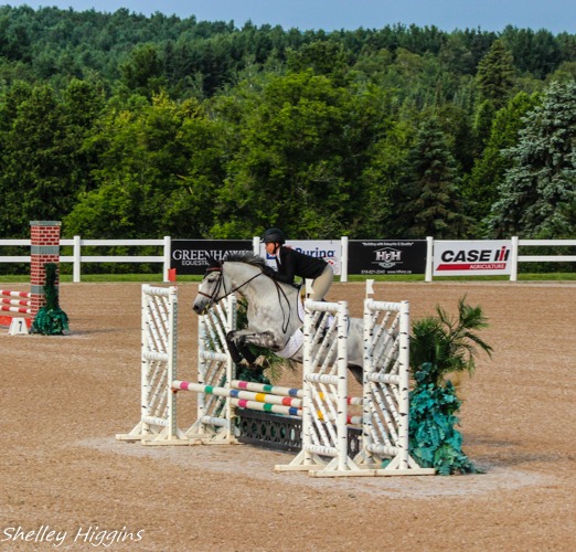 Shellcrest Farm | Orangeville ON