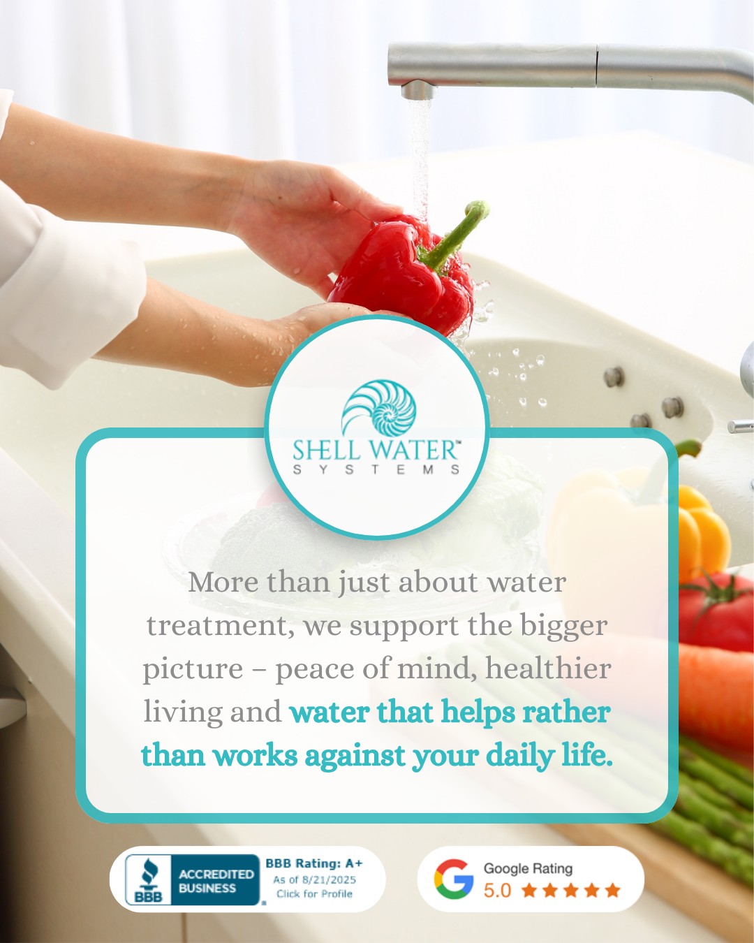Shell - 💧 Why Trust Shell Water Systems? 💧 We’re more than just water ...
