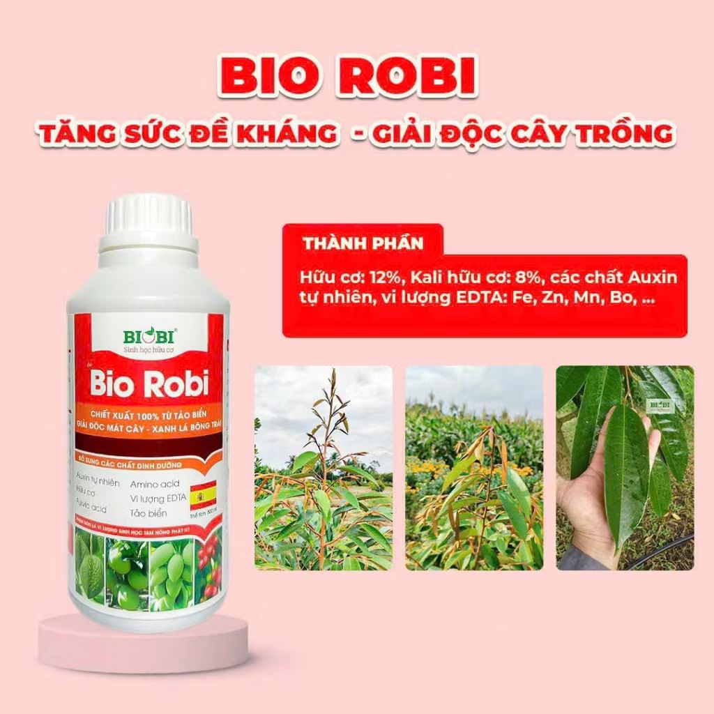 Hữu Cơ Foca