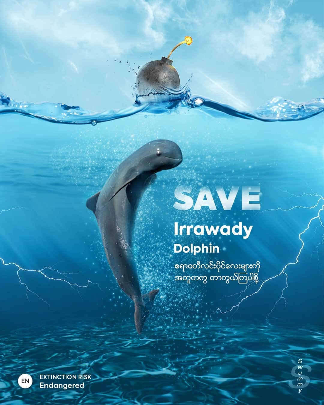 SEA Heritage & History - Save the Irrawady Dolphins As a result of ...