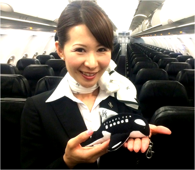 Bellygom × Asiana Airlines ぬいぐるみ 操縦士 乗務員 Bellygom X