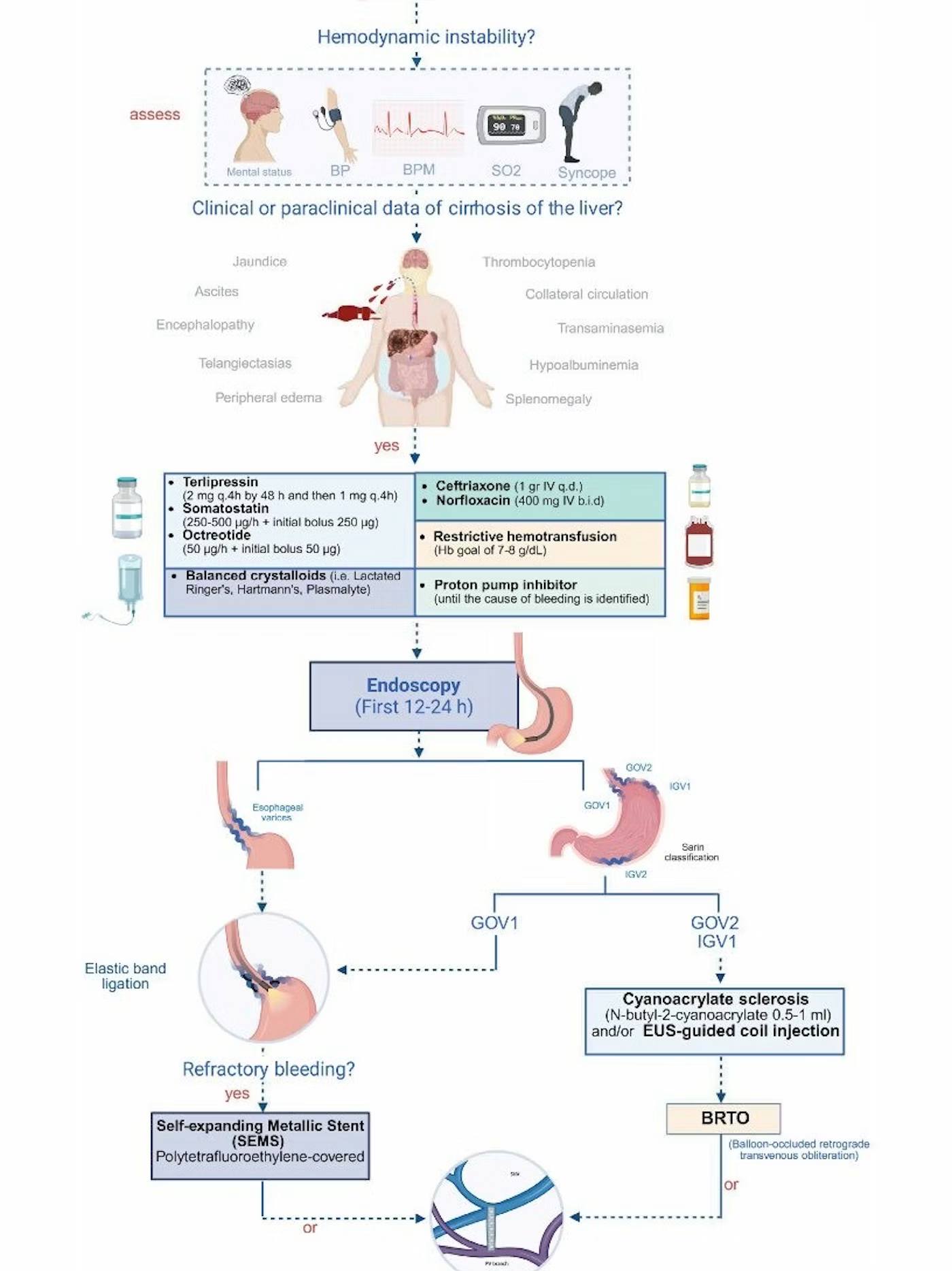 EndoCollab - Algorithm for the Management of Variceal... | Facebook
