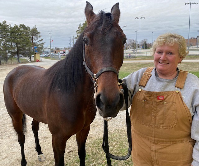 Hanover Raceway - Harness Racing a Labour of Love for...