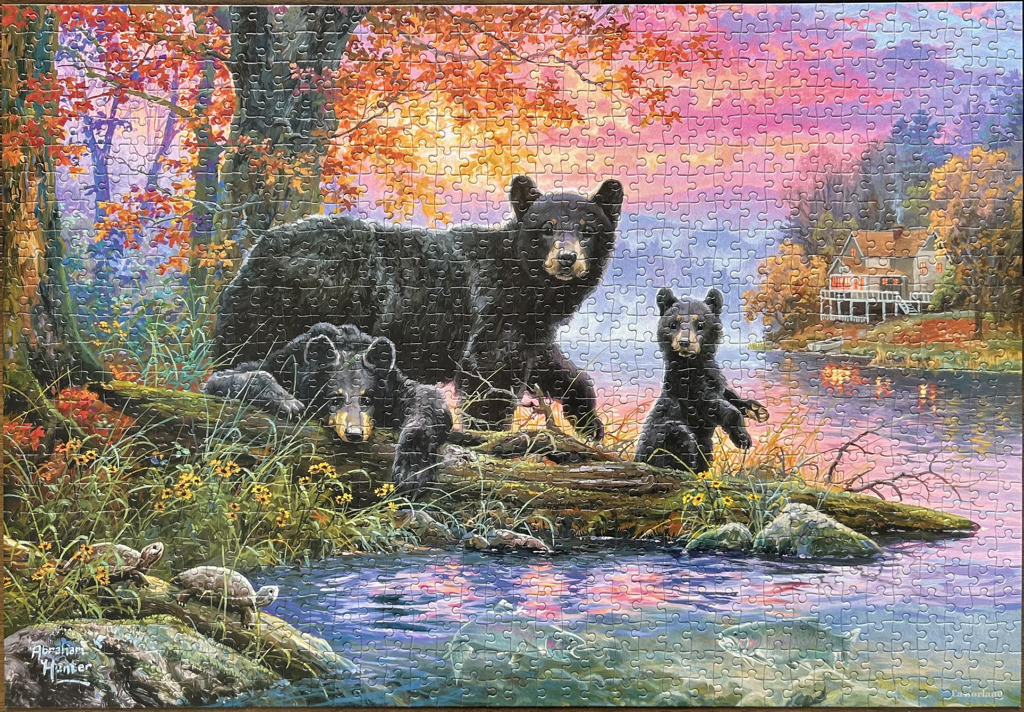 Castorland Royal Family 1000 Piece Jigsaw Puzzle - C-104253-2