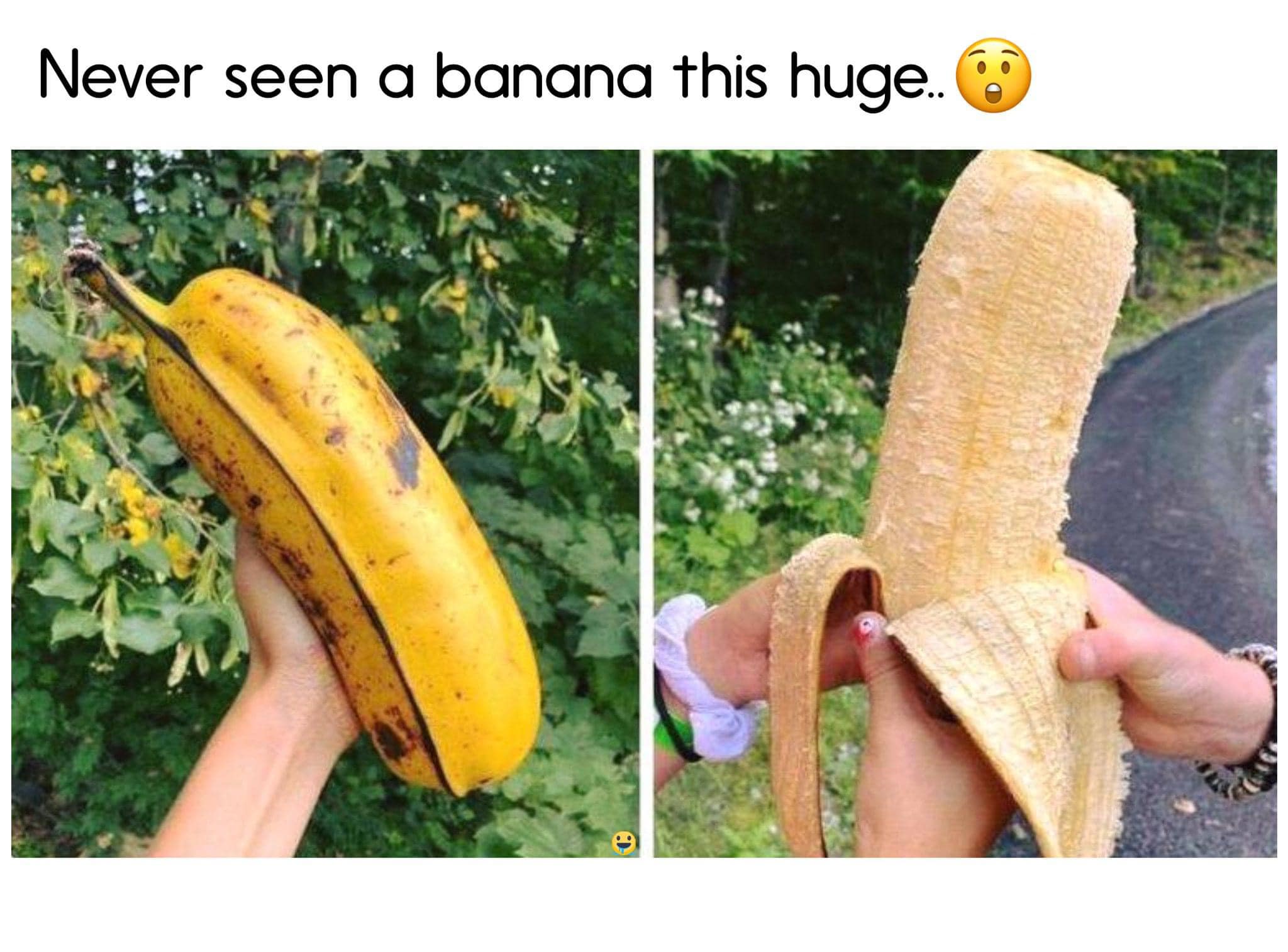 Large bananas from mother-in-law