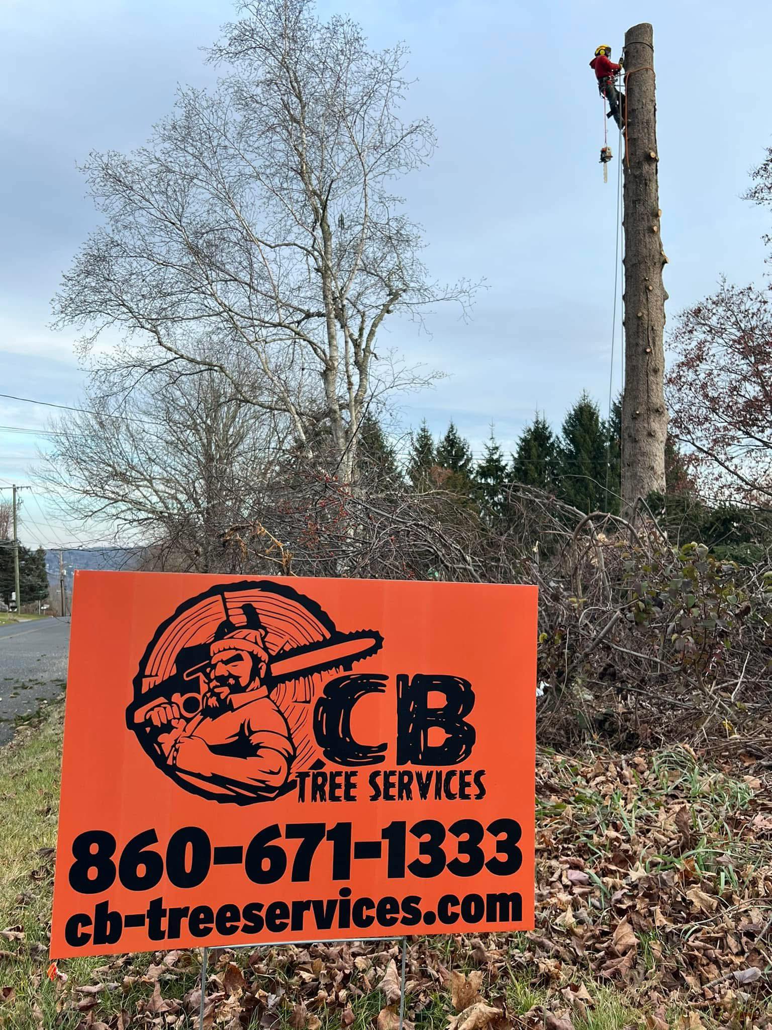 CB Tree Services LLC | Torrington CT