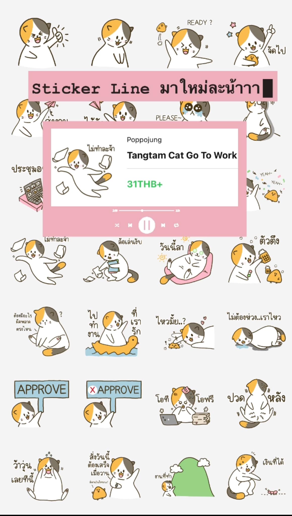 Eatnosleep - ชวนมารู้จัก น้อนแต่งแต้ม แงวสามสี 🐱... | Facebook