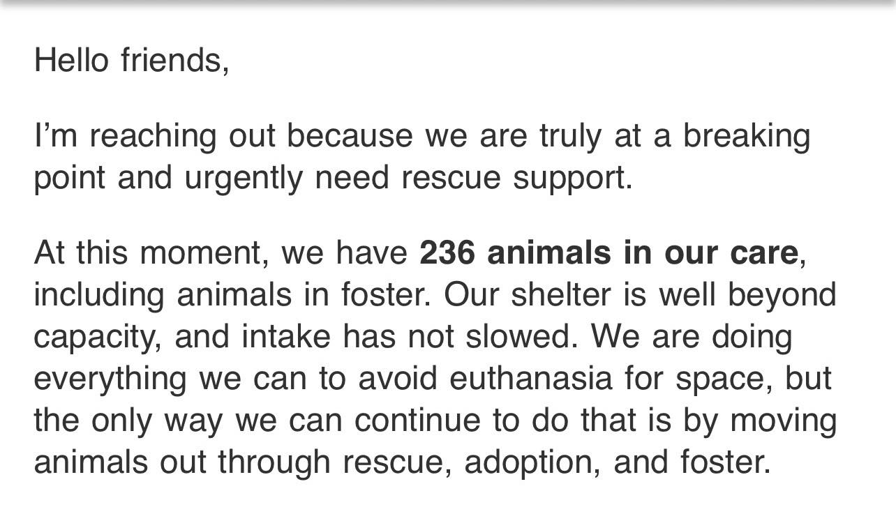 Saving Grace Animal... - Saving Grace Animal Rescue Inc.