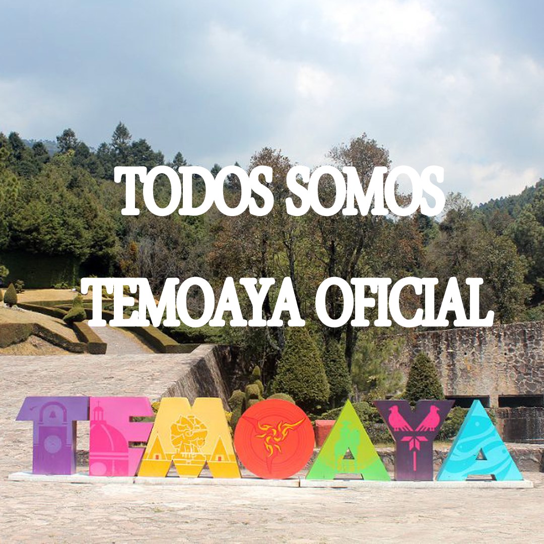 Todos somos Temoaya oficial