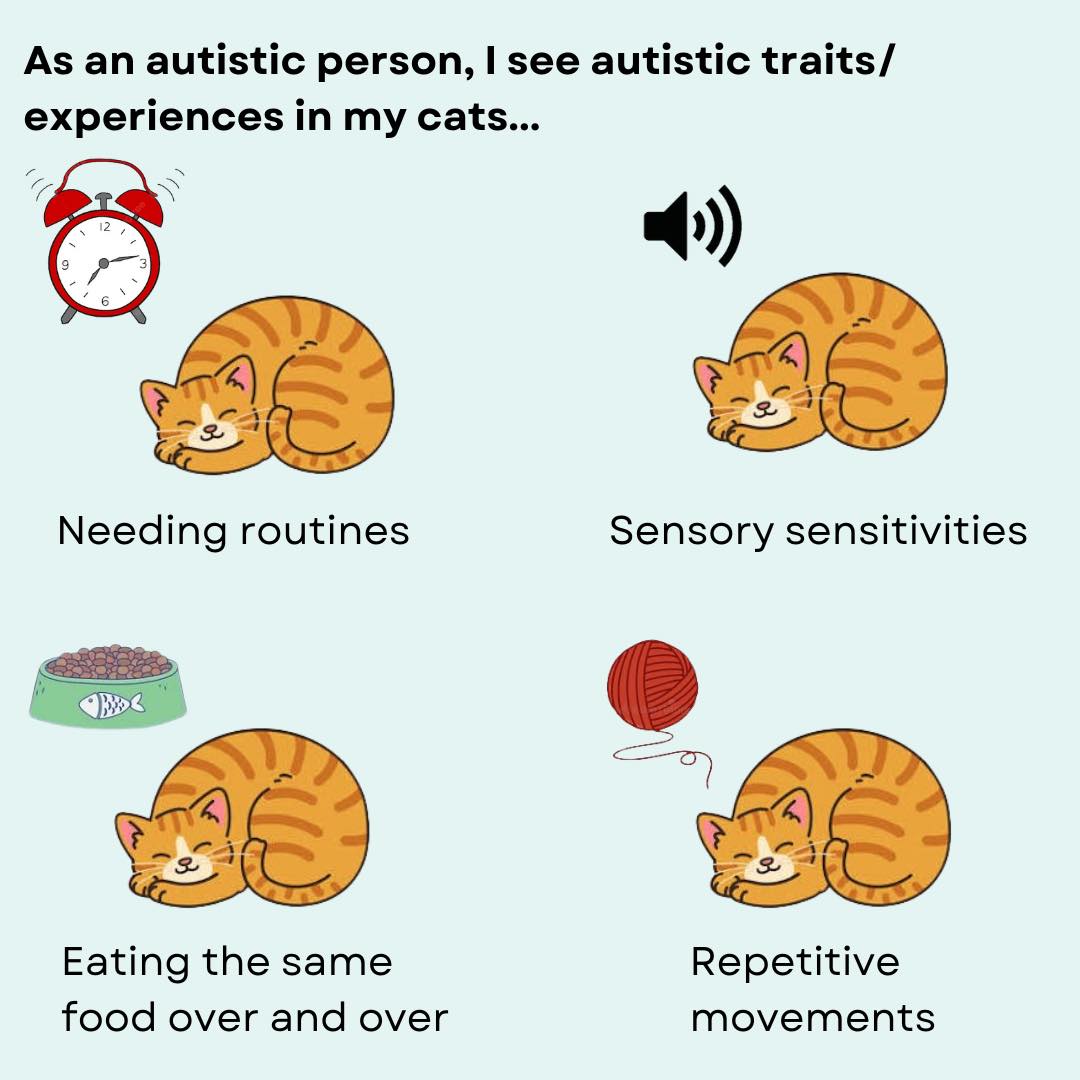 Neurodivergent_lou added a new photo. - Neurodivergent_lou